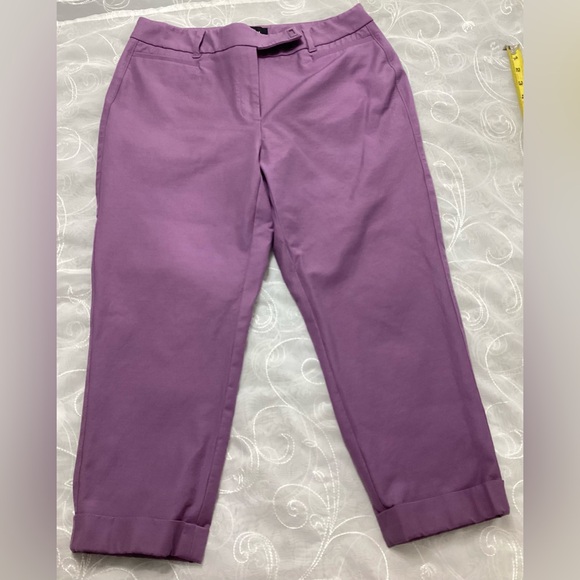 The Slim Crop Women’s Pants Size 8 - Picture 1 of 8